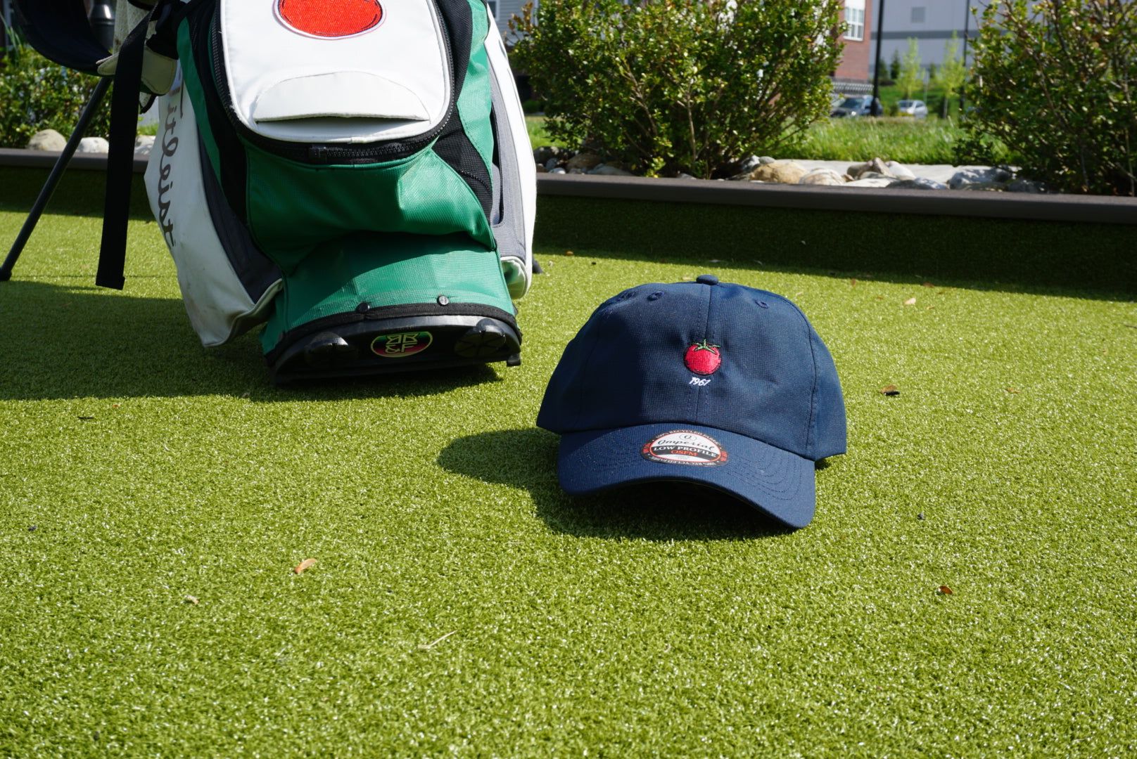 The Logo Hat