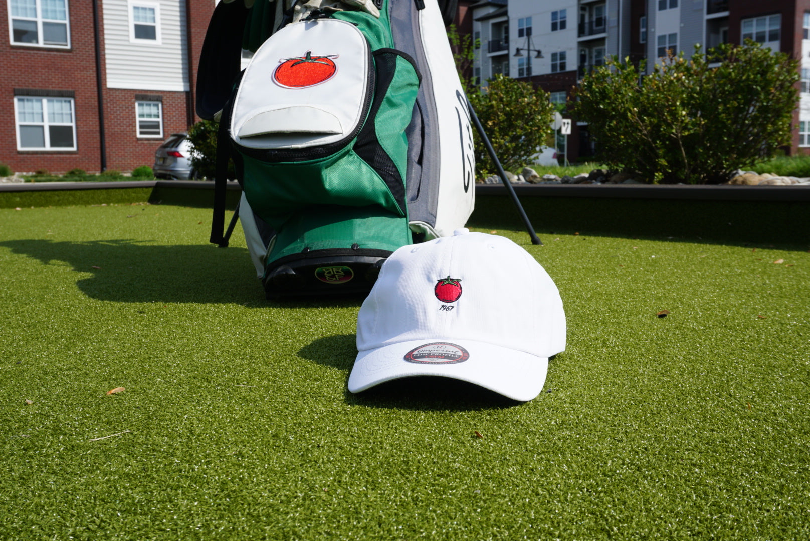 The Logo Hat