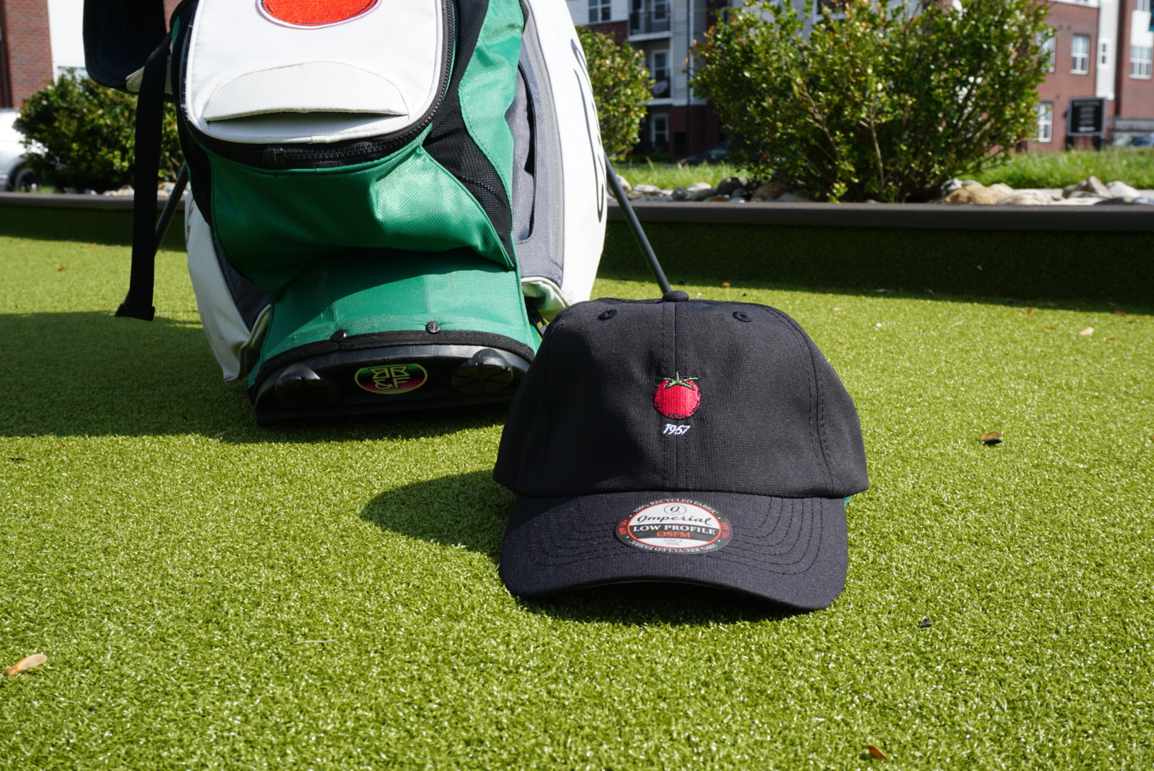 The Logo Hat
