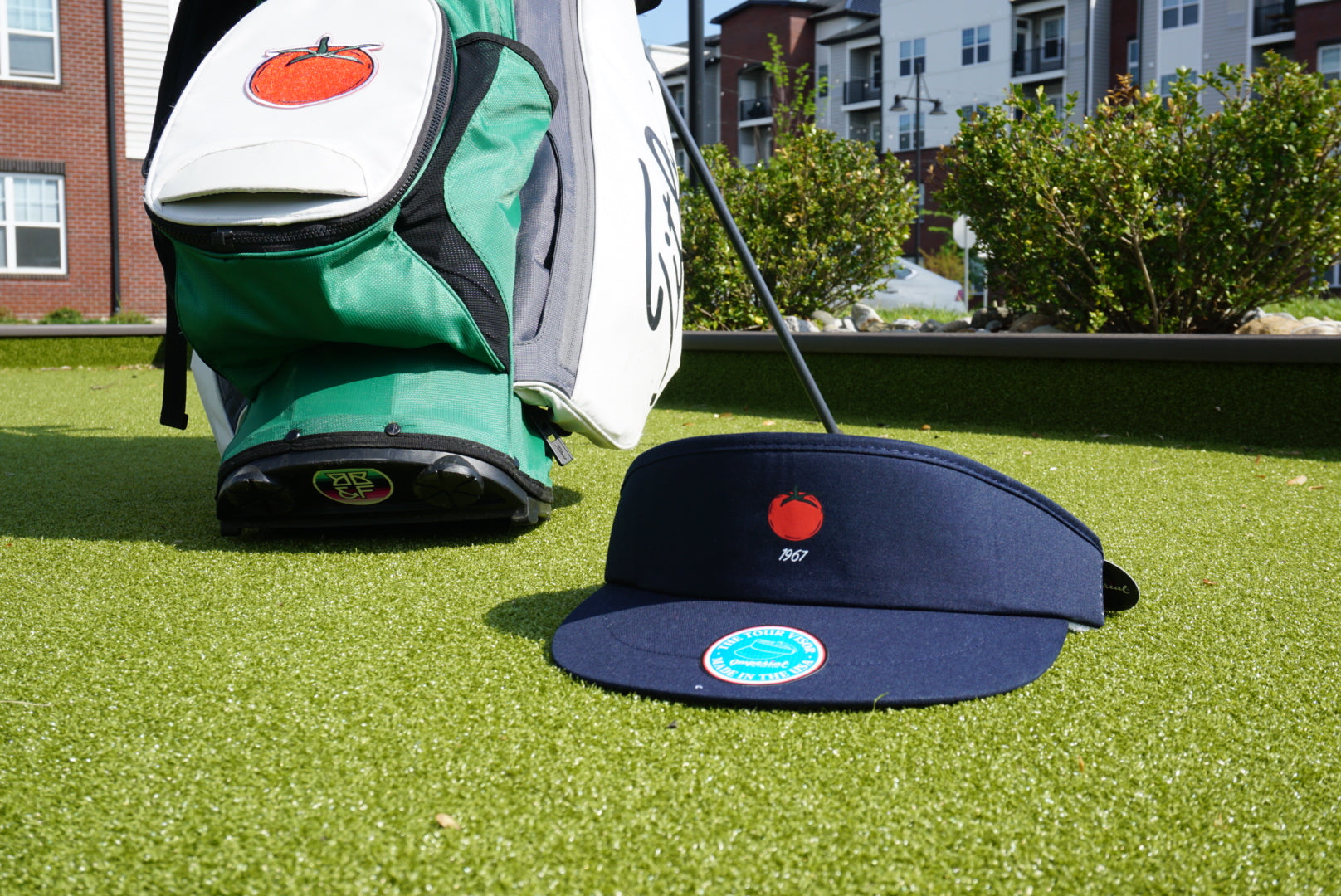 The Logo Visor