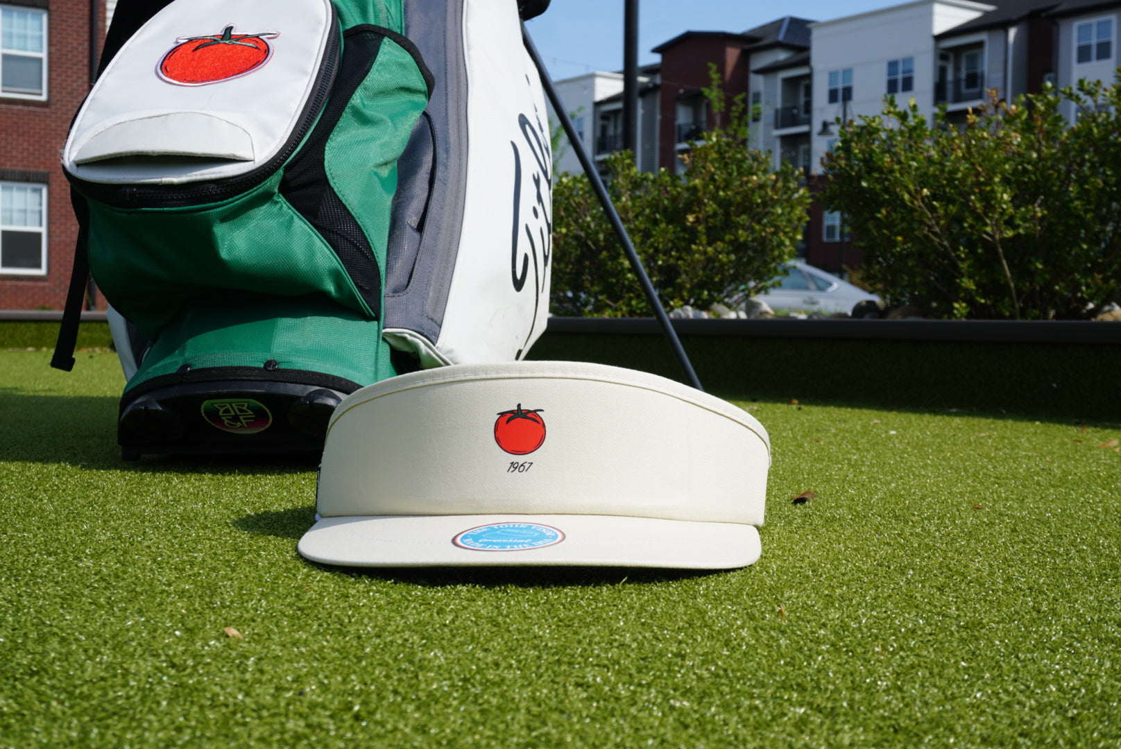 The Logo Visor
